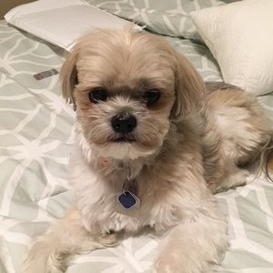 Meet your Posher, Kat